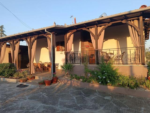 Red Roses-Traditional House
