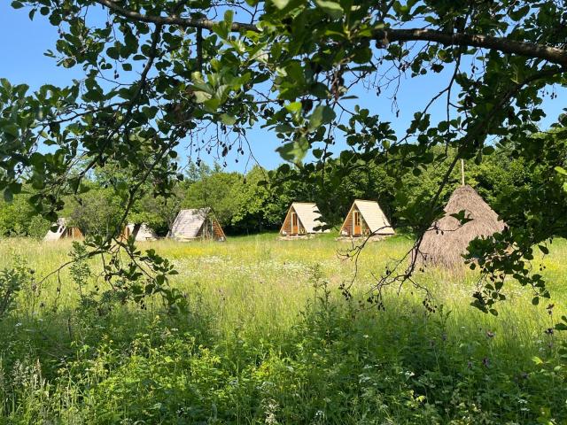 Breb 220D glamping