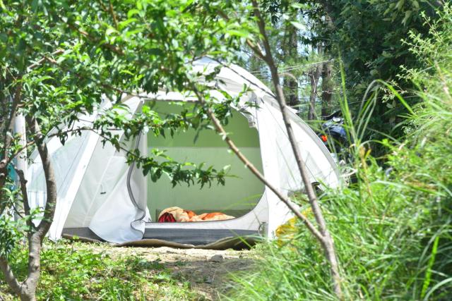 Delicate Campsite