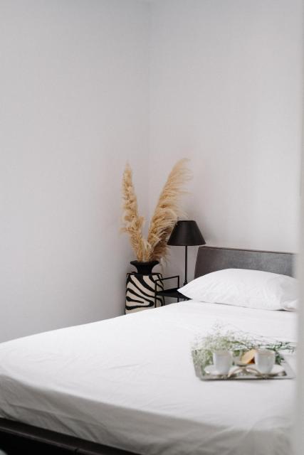 Aerope Inviting Apartment
