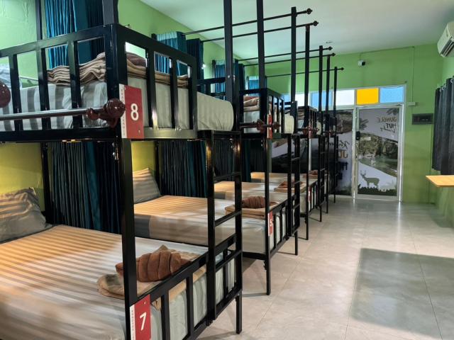 Khaosok jungle hostel Branch 1