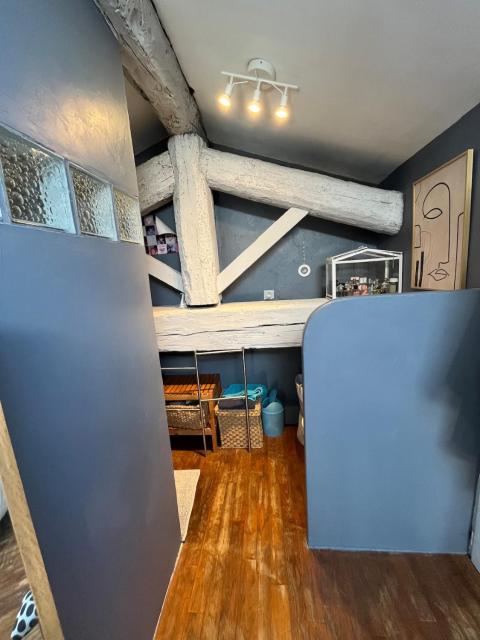 Loft, terrasse, Montpellier, quartier carré du roi, Arceaux,
