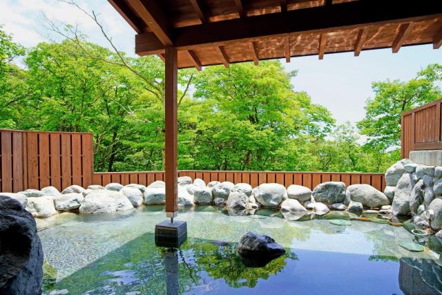Yatsugatake Kiyosato Kogen Seisen-Ryo Hotel & Cottage