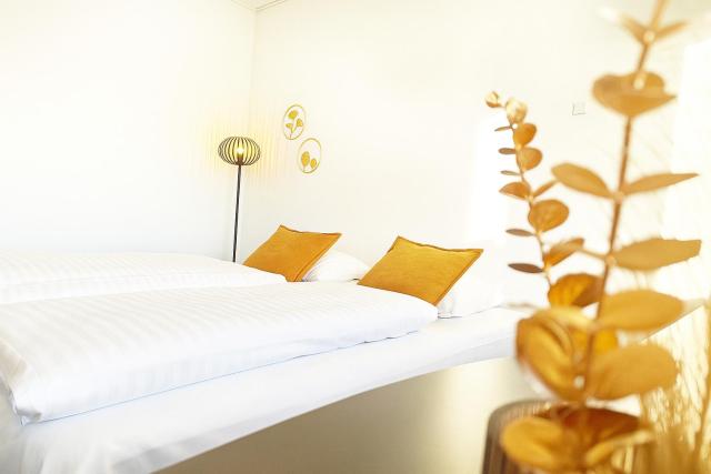 Hotel Svanegården