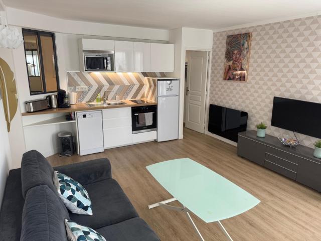 Appartement 40 m2 climatisé au centre ville de LGM