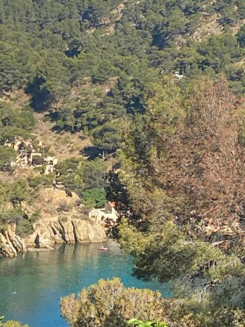 Les terrasses des Anthenors