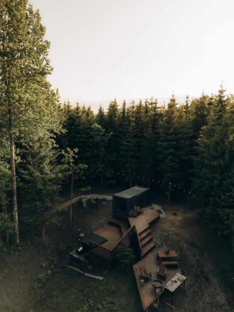 Sidrabgrava - Luxury cabin in woods