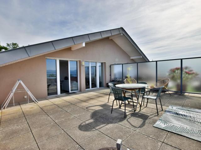 Appartement cozy à Évian, avec terrasse, animaux et parking - FR-1-498-69