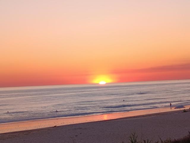 Apartamentos Camping El Palmar