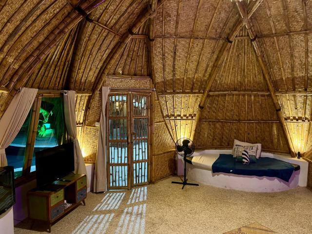 NiMo Bamboo
