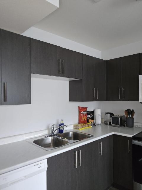 Springfield Kensington