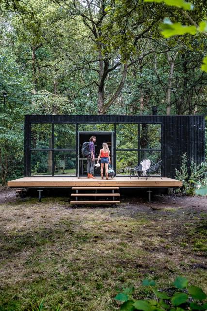 Cabins in the woods with wellness