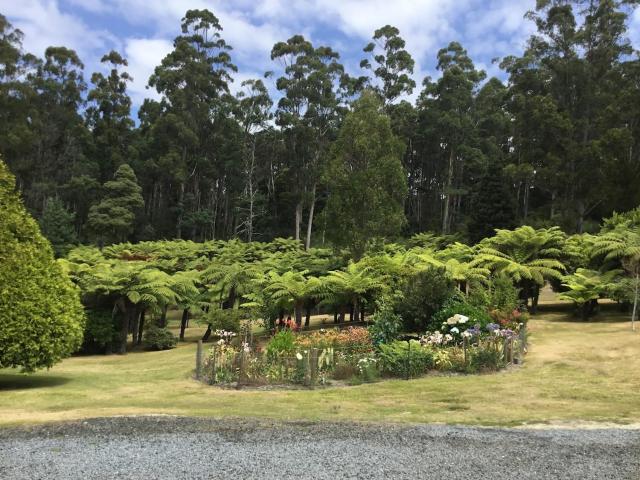 Cabin in the Tasmanian Bush - Tranquility!