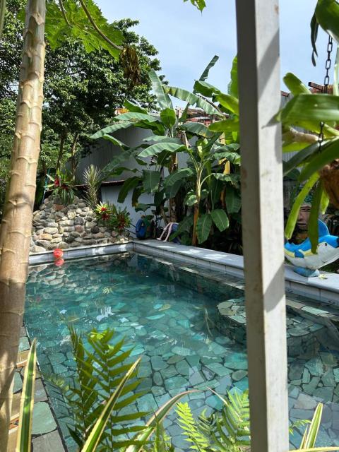 Casa Sophia 3 listings Apartment 1 or Apartment 2 separately or Apt 1 and 2 together all with FO internet