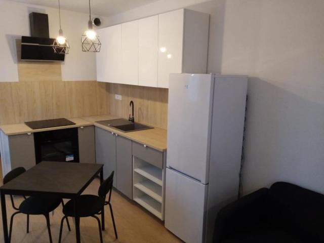 1 Room Apartment