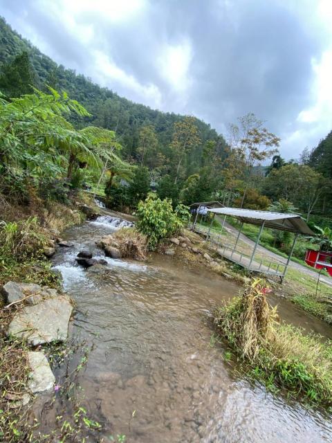 Glamping Azalea Tawangmangu