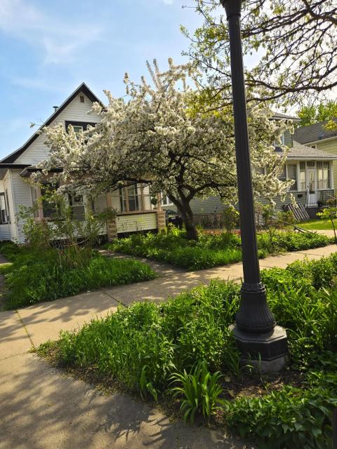 Pinkston Gardens