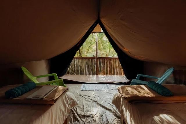 NoLux Camping Tent