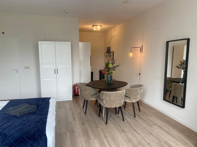 Luxurious central apartment