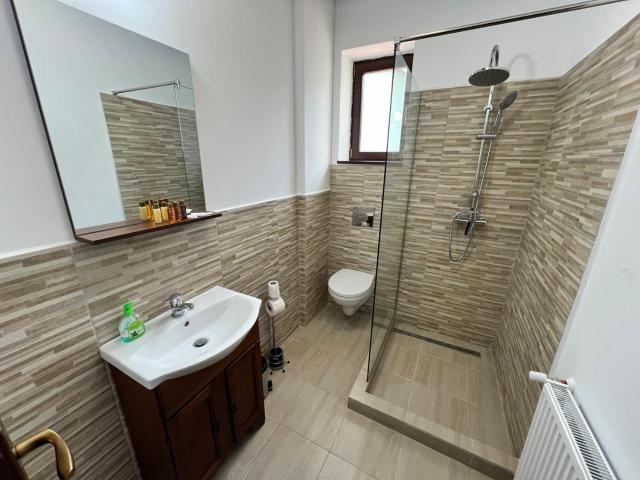 Hostel Omul Verde