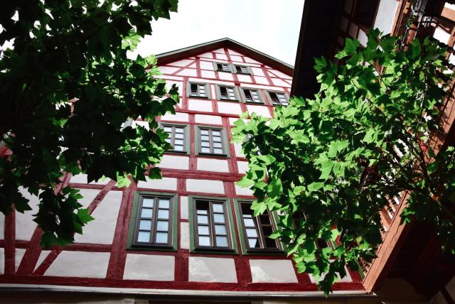 Grünes Tor