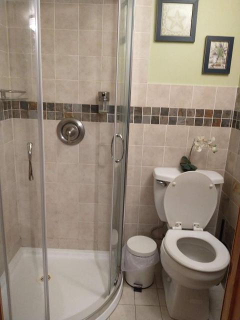 Cozy studio at the heart of Jackson Heights