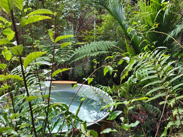 Treescapes - Rainforest Hot Tub 2km from Punakaiki