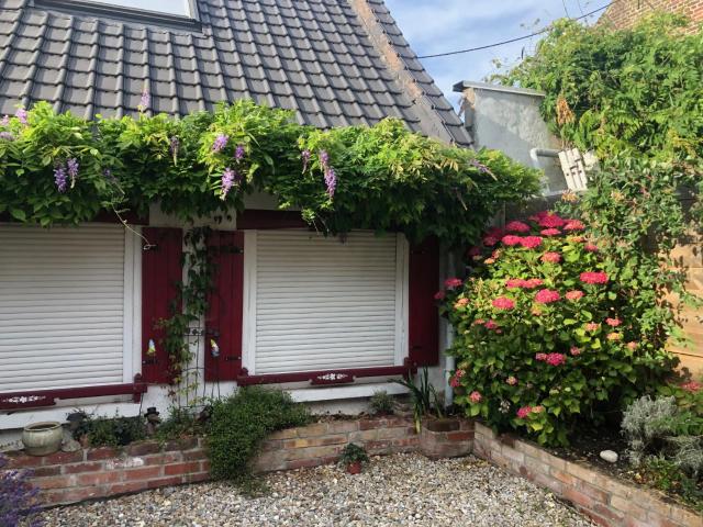 Little Home