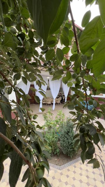 B&B Giza
