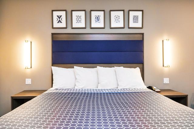 Palace Inn Blue Copperfield 529