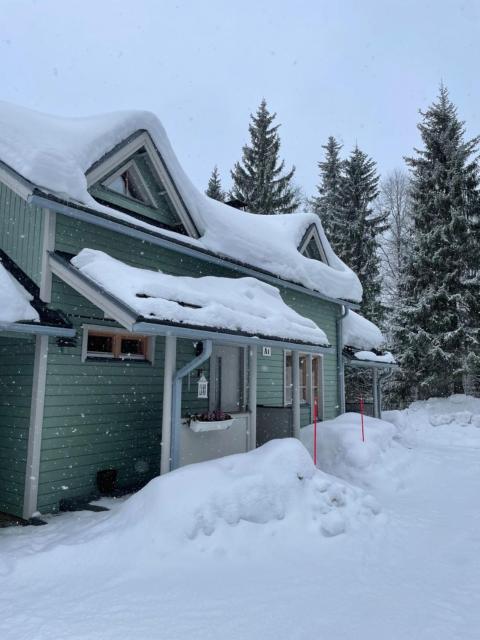 Cabin and outdoor hot tub in Levi
