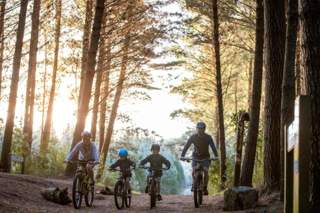 Tasman Holiday Parks Picton
