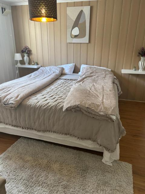 Basement Apartment -Ås Ski