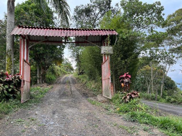 Finca La Vistosa