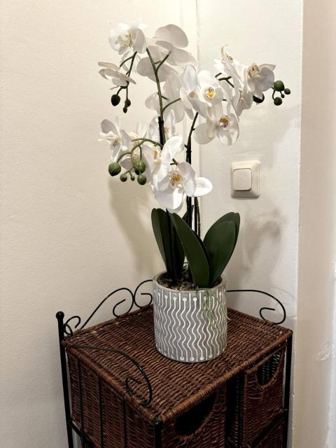 Ullanlinna Unique in the heart of Helsinki for 2-4 persons - Free WiFi