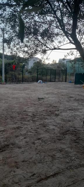 Ampelonas camping