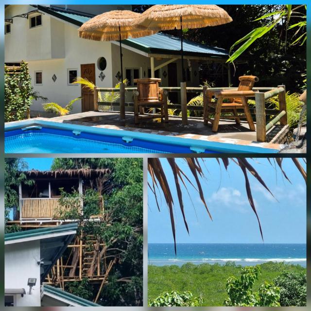Amazing Ocean View Treehouse & Pool