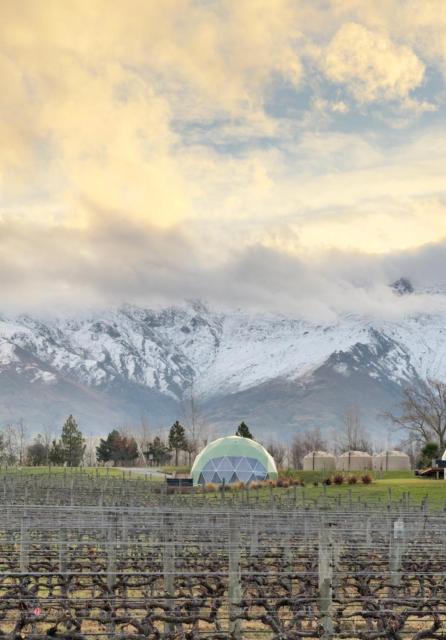 Glamping Dome - Rosé
