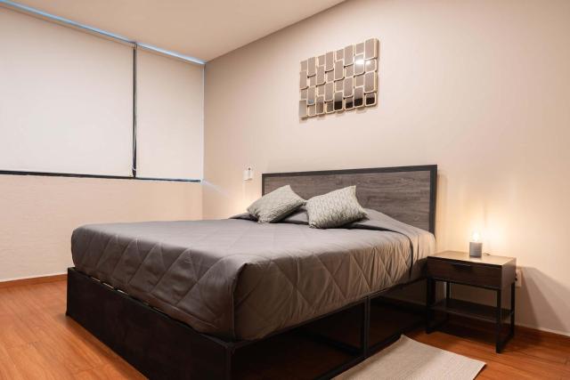 307 Spacious AC apt Historic CDMX Rooftop