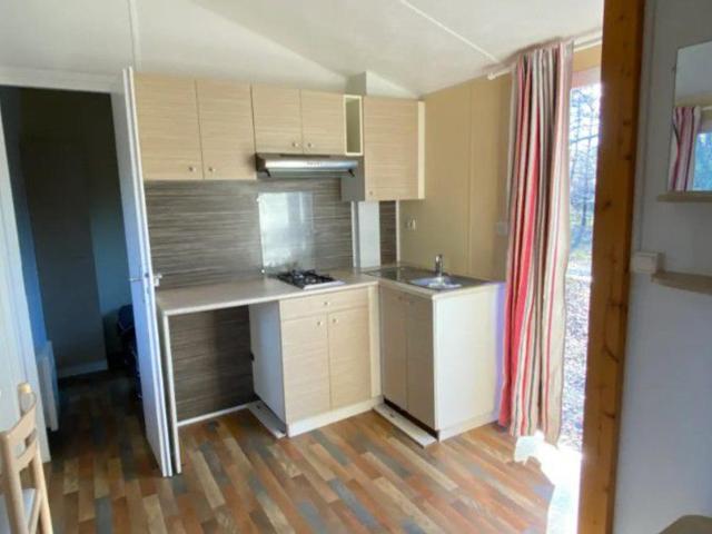 Mobil-home cosy avec terrasse au Camping La Motte - API-1-52-575