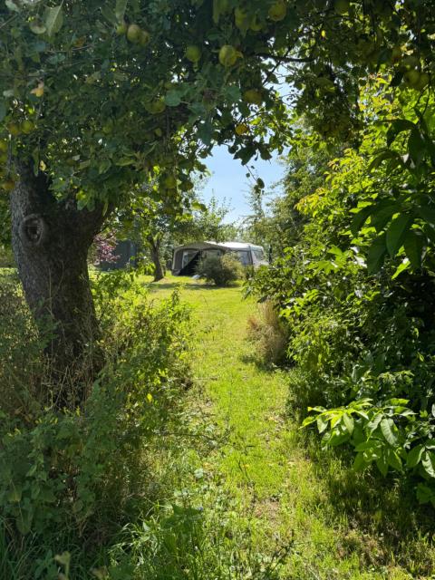 Camping Relaxing im Garten