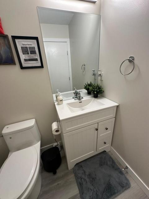 Elegant & Stylish Basement Suite- Private Entrance