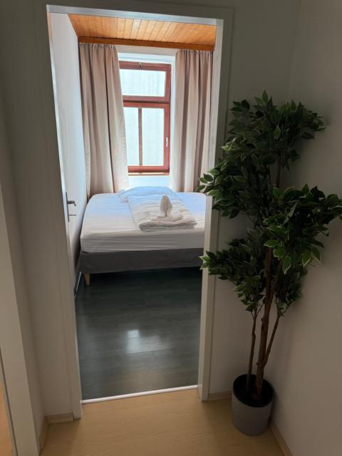 Central Living - 7 Minutes to Stephansplatz