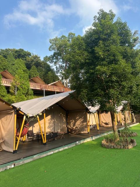 Grow Tree Glamping