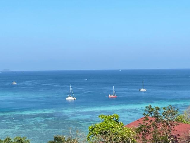 The view Hostel