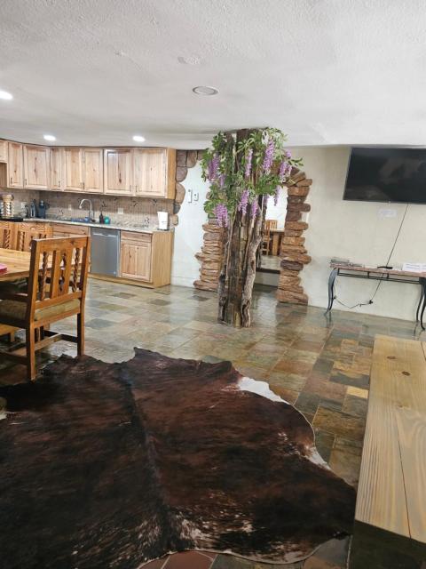Your comfy home in Colorado Springs