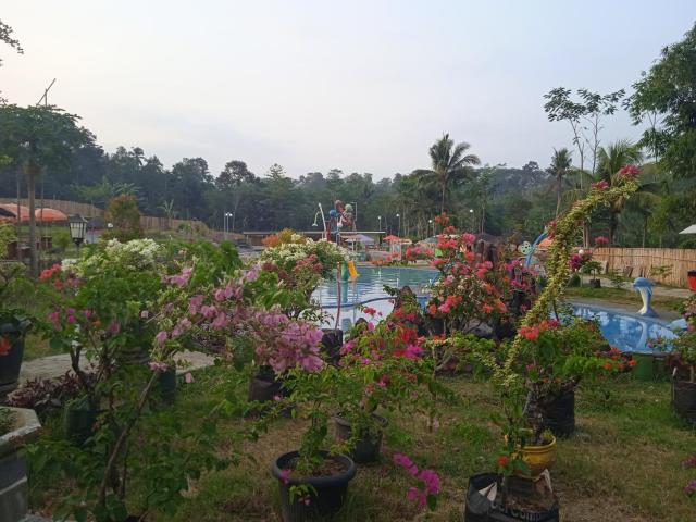 Citra Mandiri Glamping