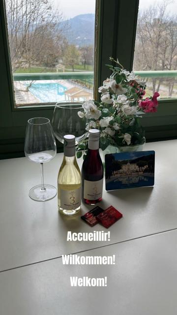 Chateau des Gipières bij de Mont Ventoux
