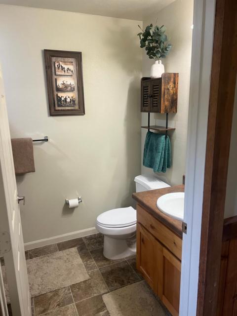 Come Relax at Hinchwood Cabins