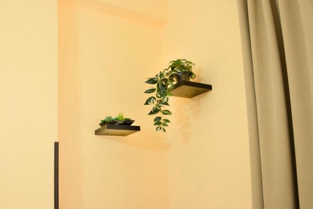 Lovely Fiuggi Apartment - near the Thermal Baths